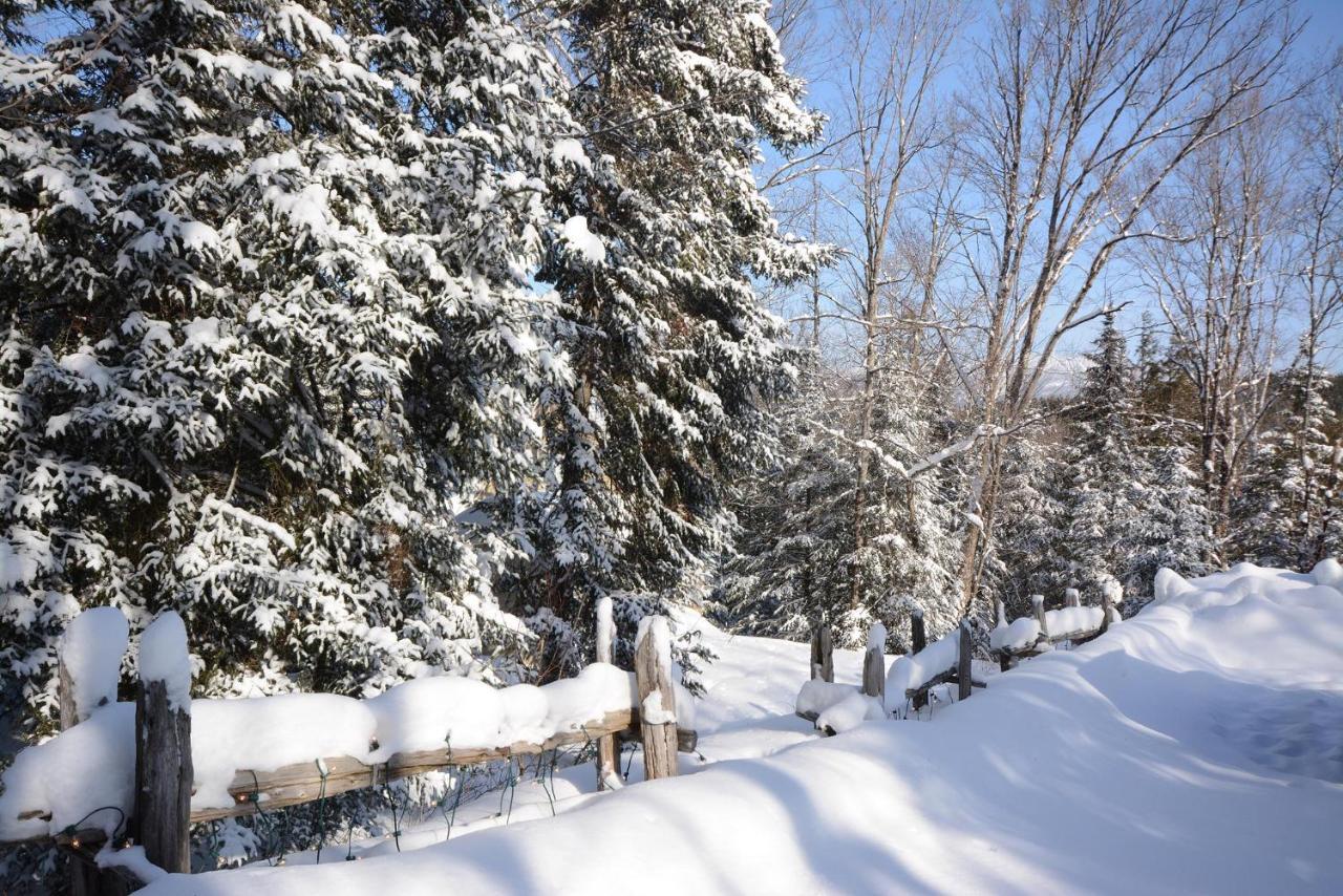 Jardin Du Village By Chez Tremblant Mont-Tremblant Buitenkant foto